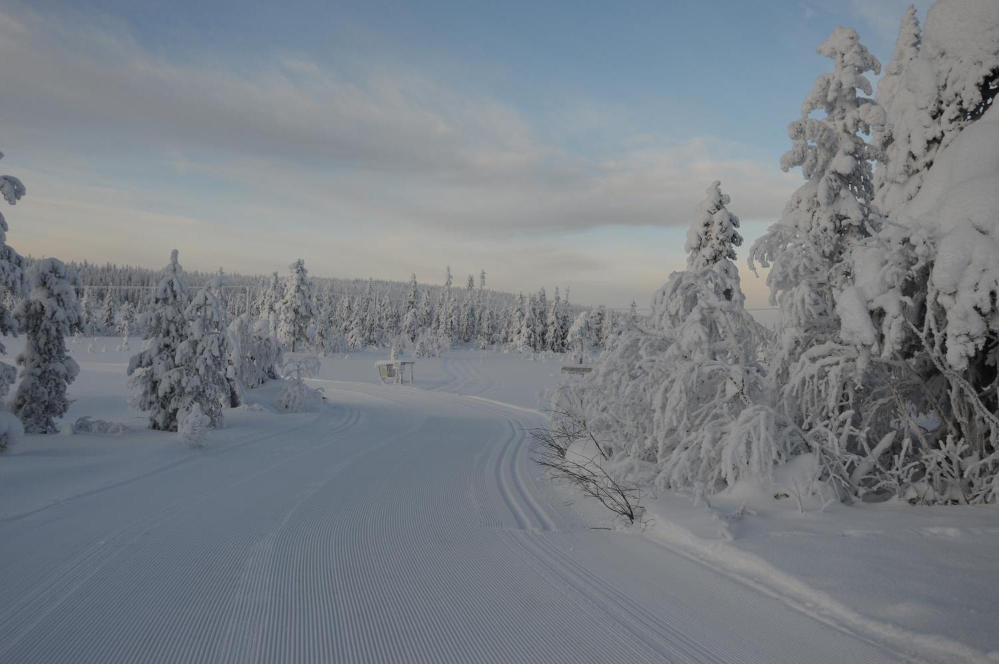 16 - Fulufjellets Nasjonalparker - Natur-, Dyre- Og Fugleopplevelser Ljørdal Exterior foto