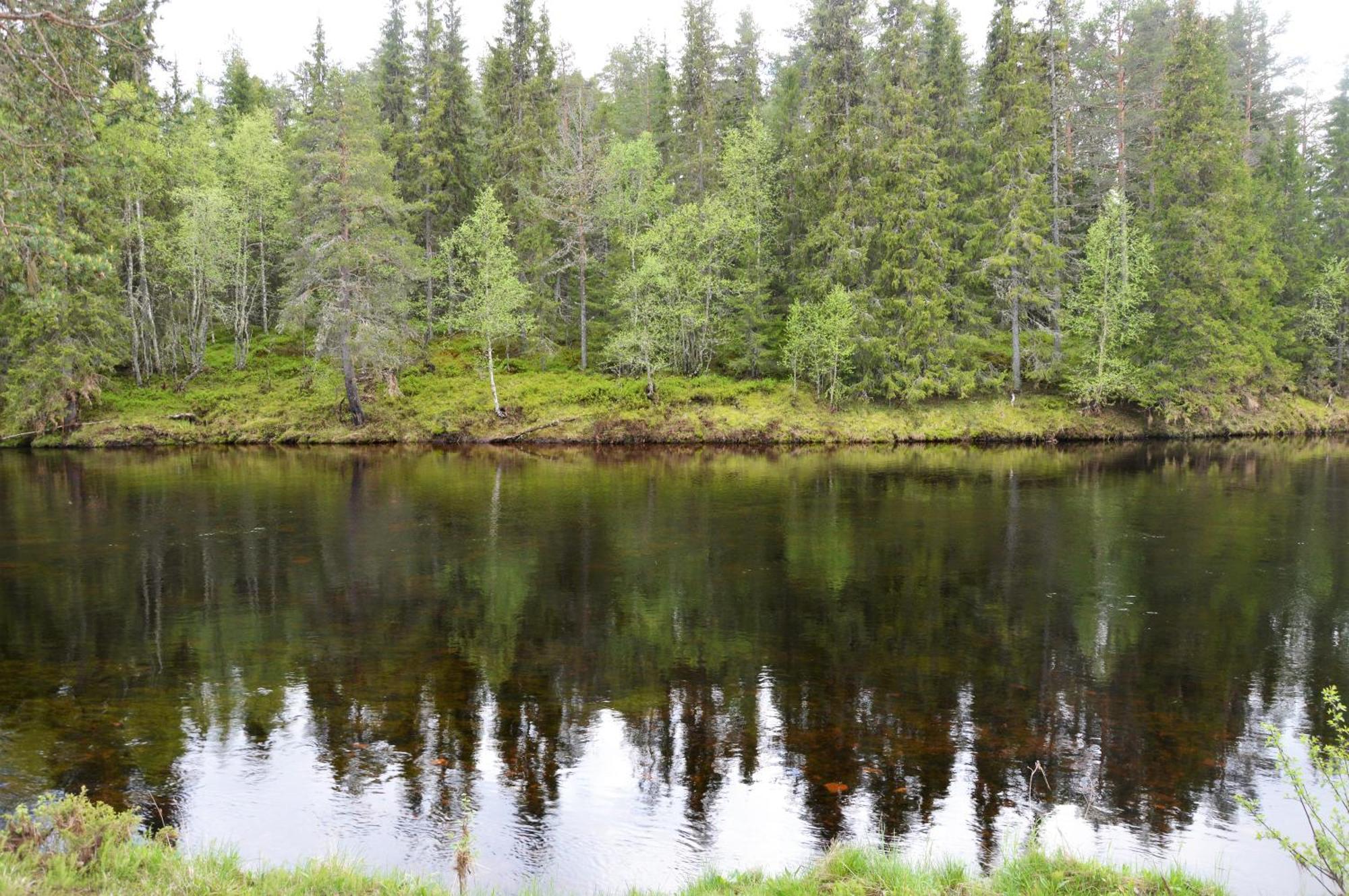 16 - Fulufjellets Nasjonalparker - Natur-, Dyre- Og Fugleopplevelser Ljørdal Exterior foto