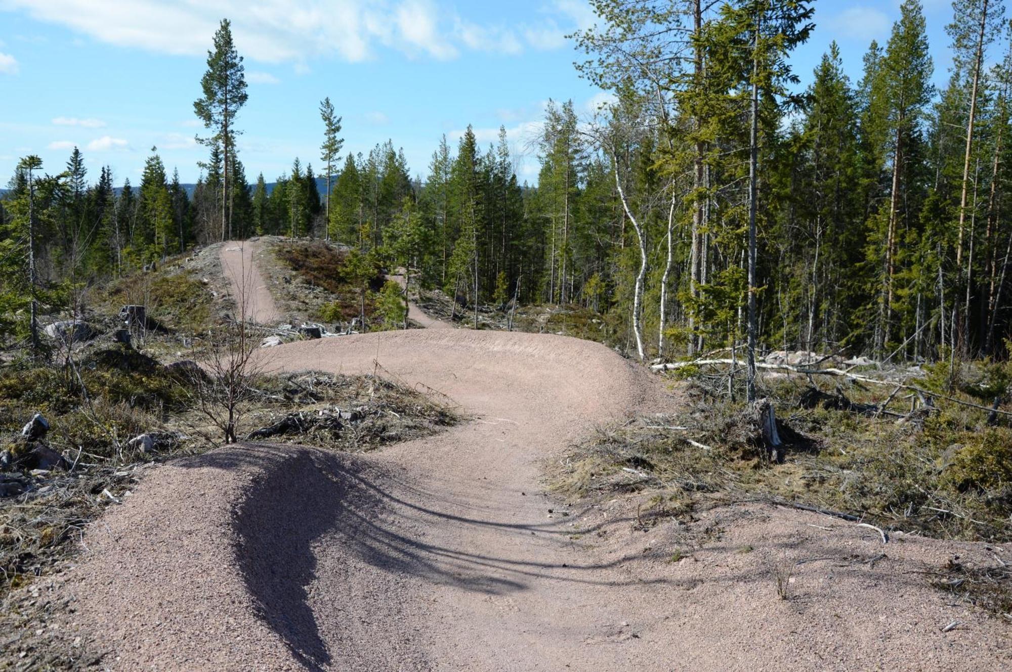 16 - Fulufjellets Nasjonalparker - Natur-, Dyre- Og Fugleopplevelser Ljørdal Exterior foto