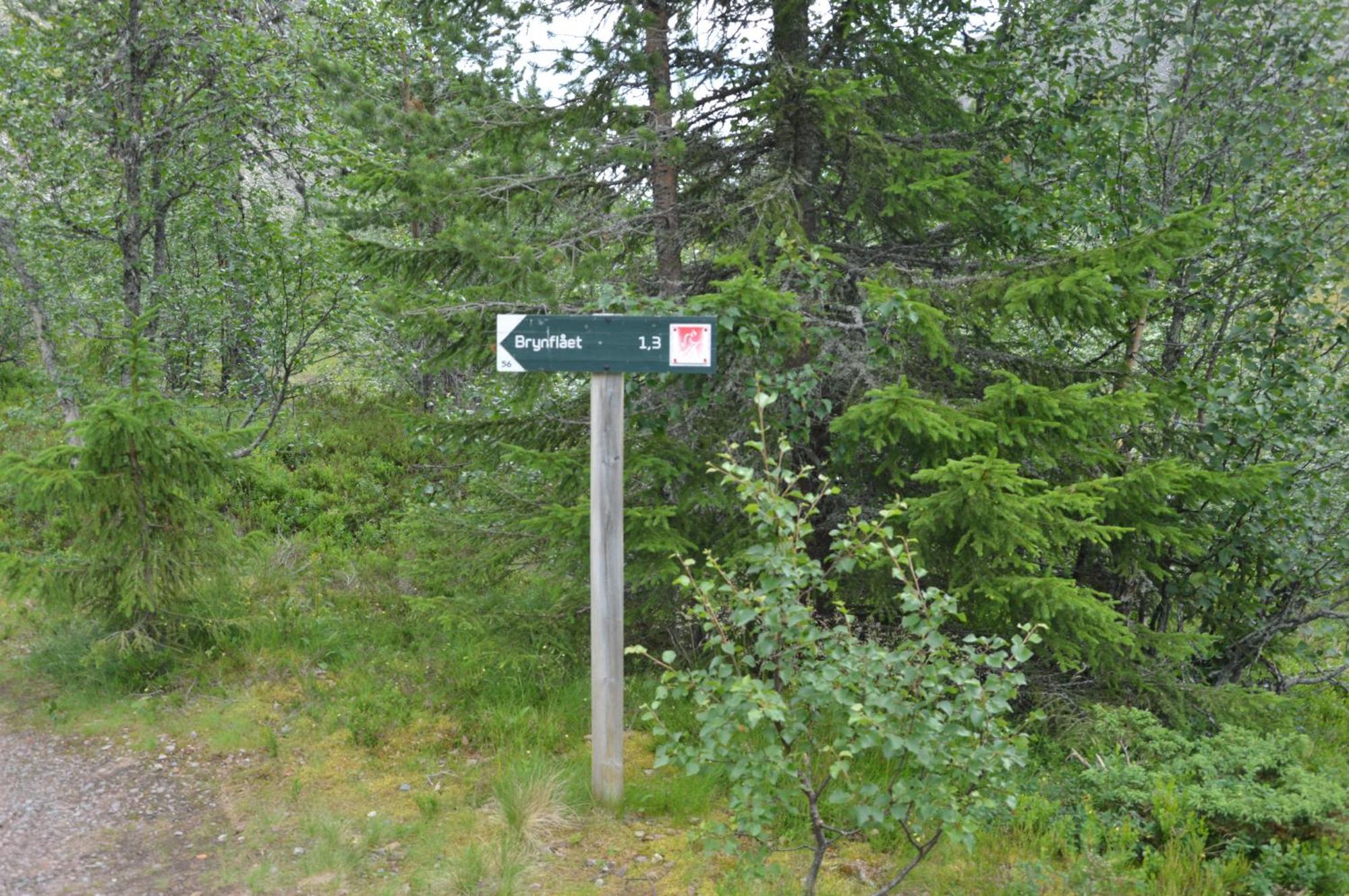 16 - Fulufjellets Nasjonalparker - Natur-, Dyre- Og Fugleopplevelser Ljørdal Exterior foto